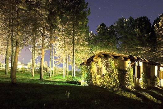 Alloggi nel bosco