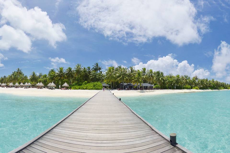 Maldive