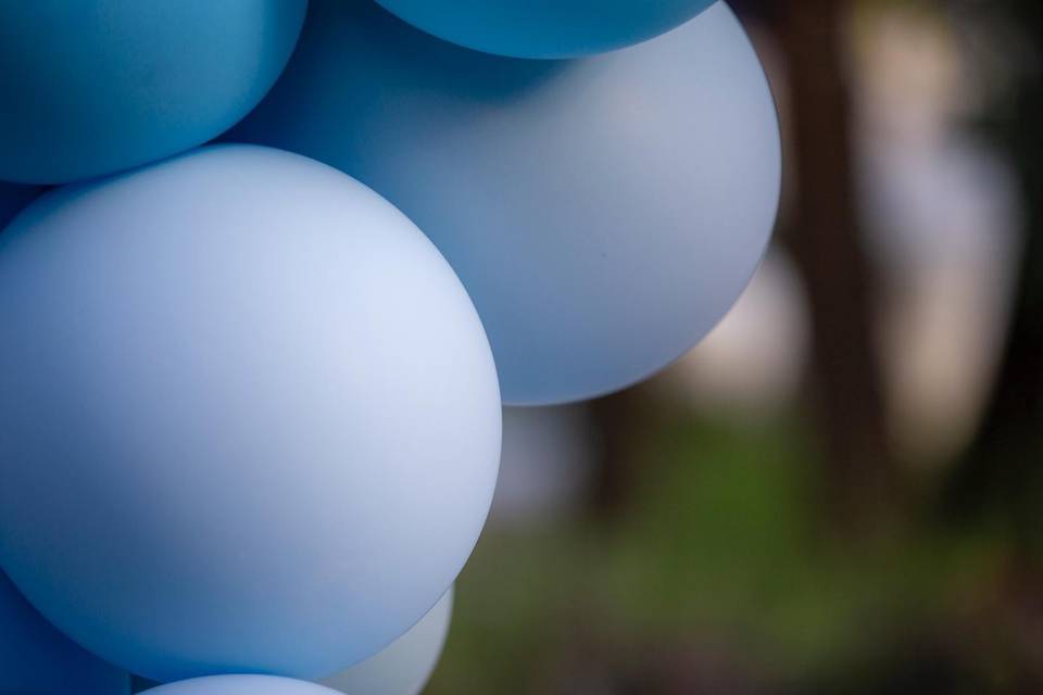 Dettaglio balloon's arch