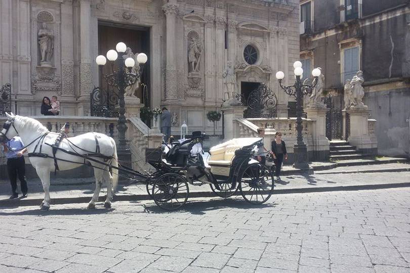 Carrozza di Cenerentola