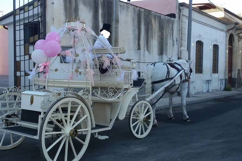 Carrozza di Cenerentola