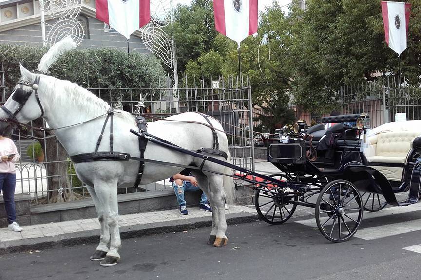 Carrozza di Cenerentola