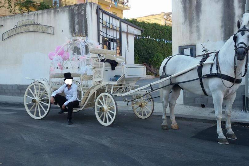 Carrozza di Cenerentola