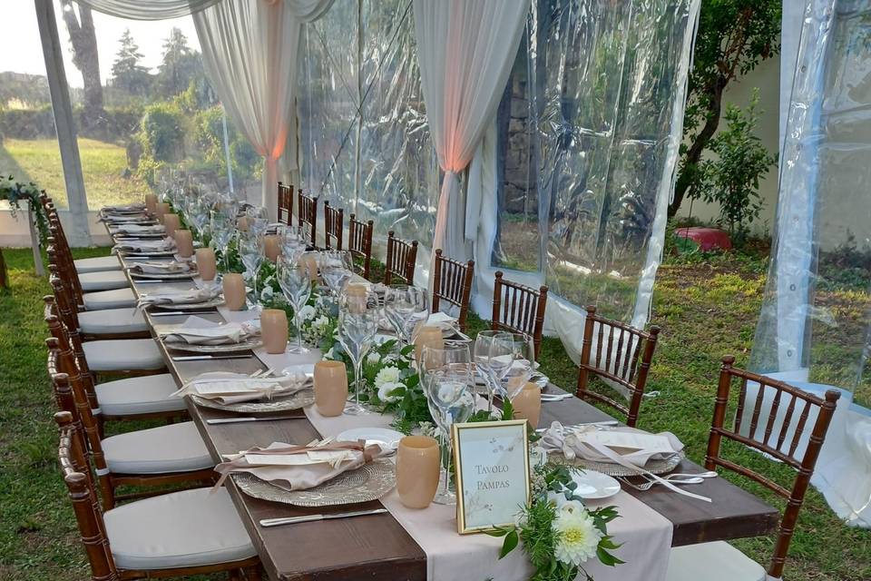 Wedding