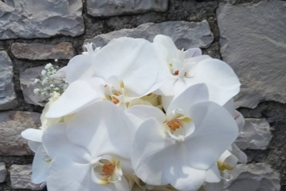 Bouquet sposa orchidea