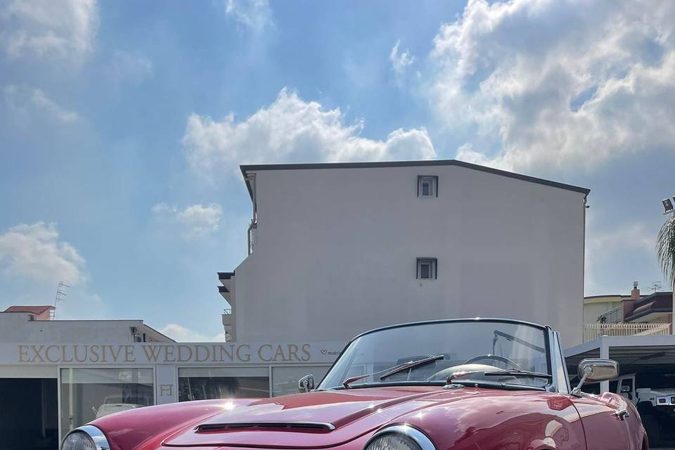 Alfa Giulia spider