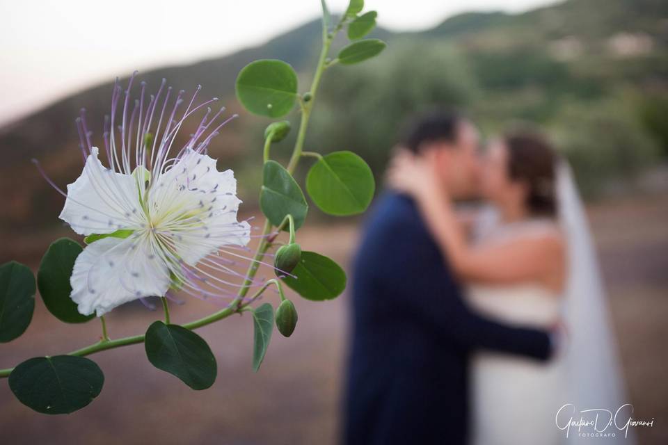 Matrimonio a salina