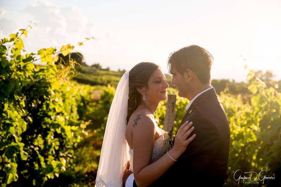 Matrimonio a salina