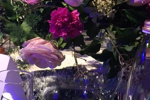 Composizione rosa