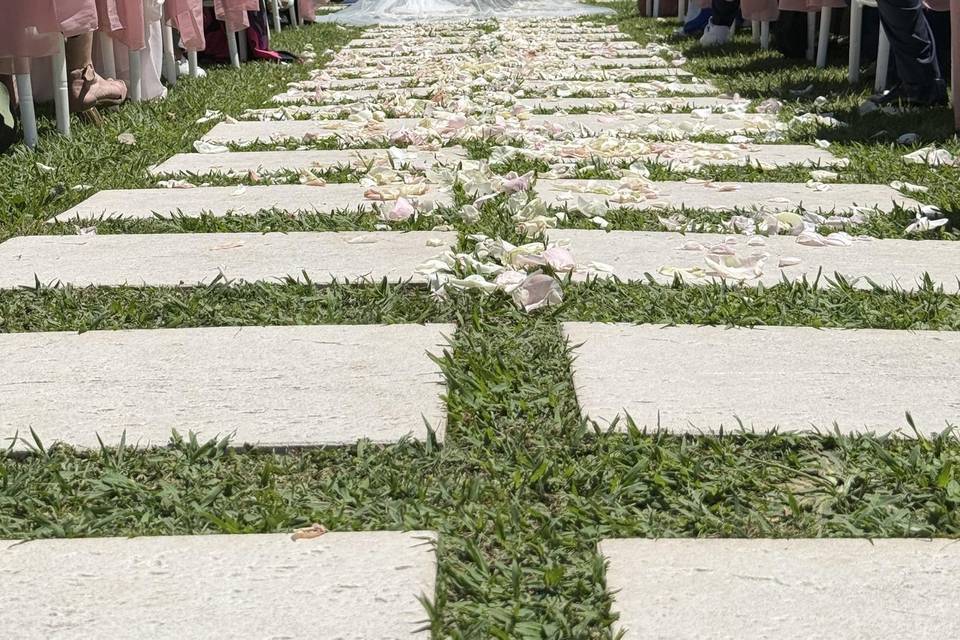 Navata di petali