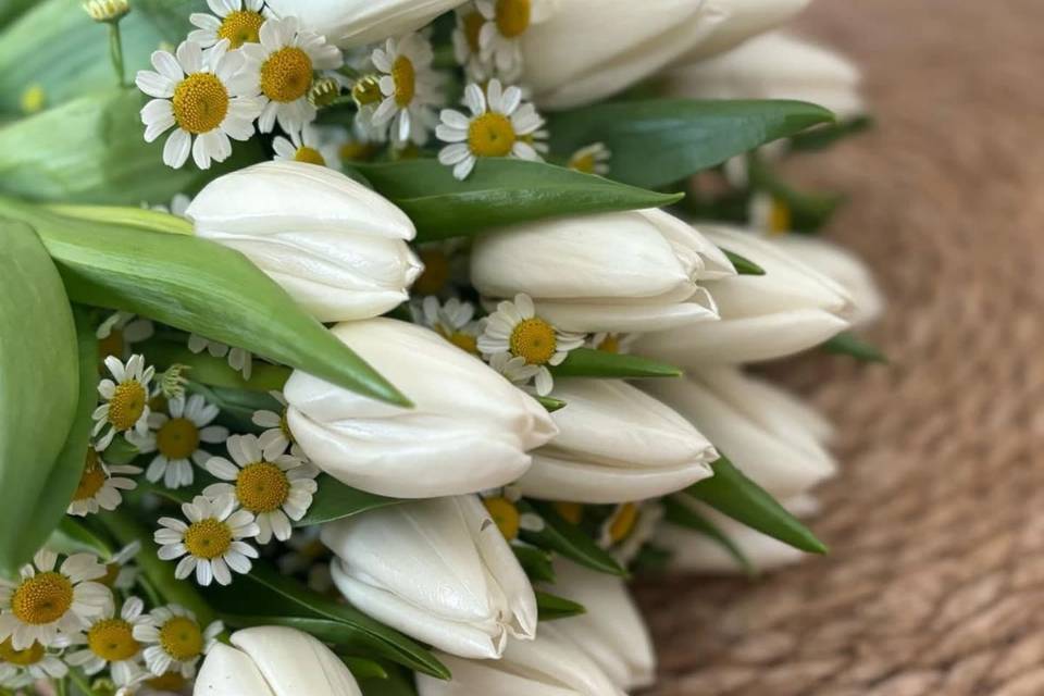 Bouquet di tulipani e camomill