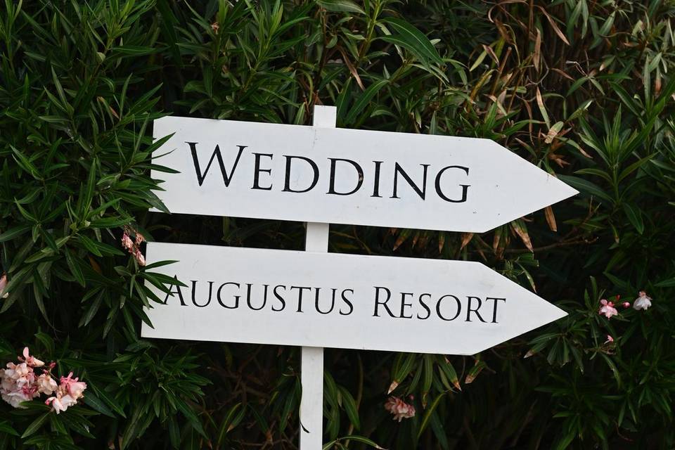 Wedding destination