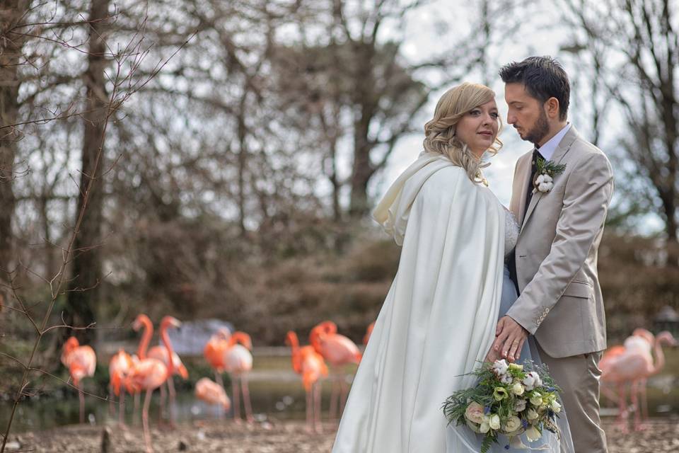 Fotografo Matrimonio Faenza