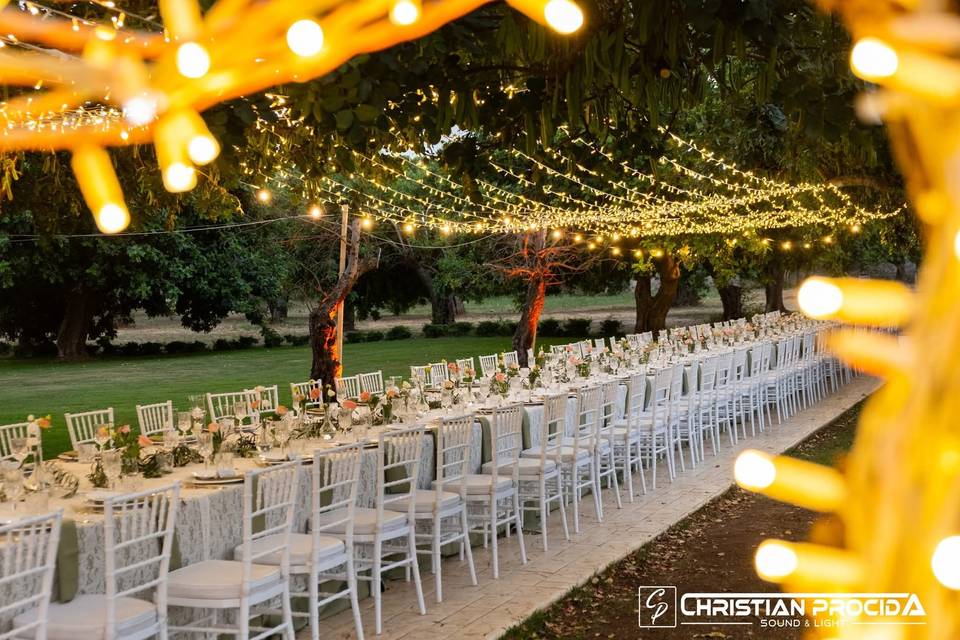 Wedding light