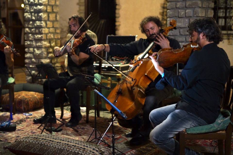 Musica violini