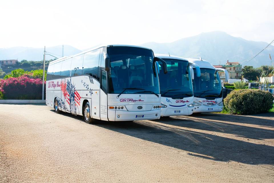 BEULAS AURA 53 POSTI