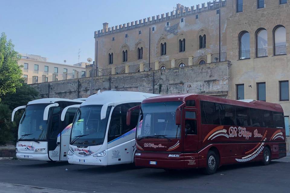 Iveco Domino- Irizar Pb- Volvo