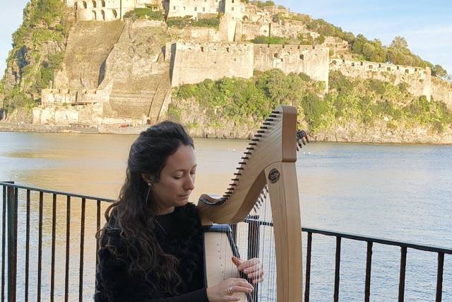 Harp