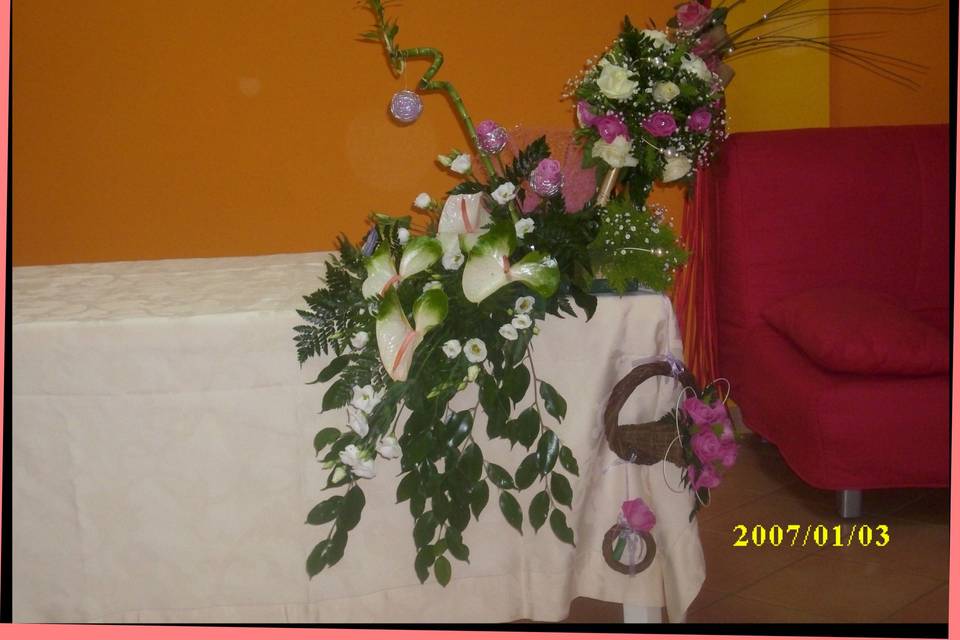 Floricoltura Shalom