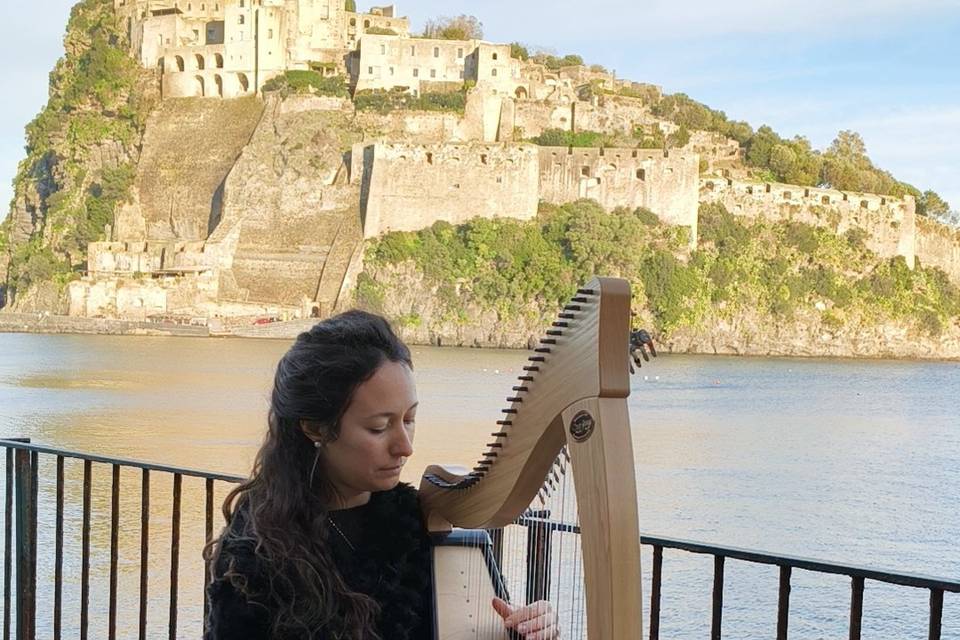 Harp
