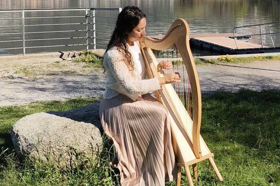Harp