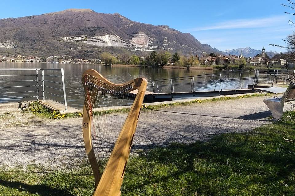 Harp