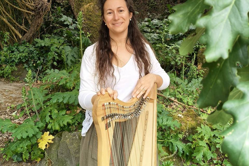 Harp