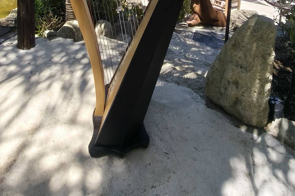 Harp