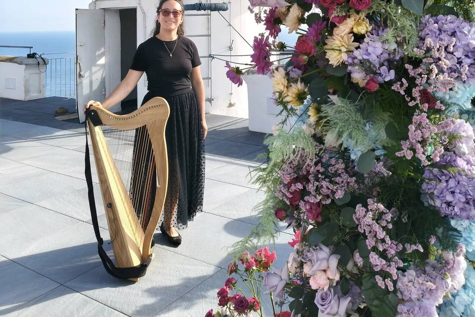 Arpa a punta imperatore Ischia