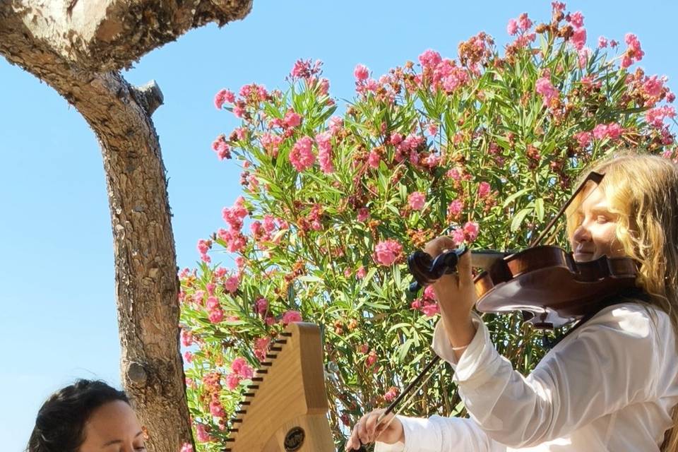Duo arpa violino