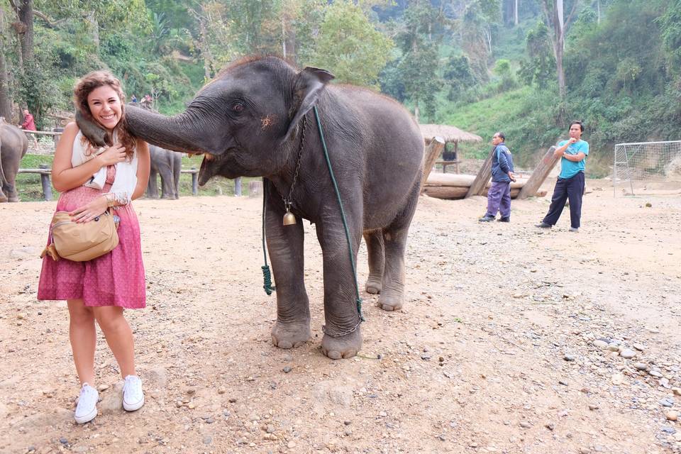 Incontri curiosi a Chiang Mai