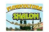 Floricultura Shalom