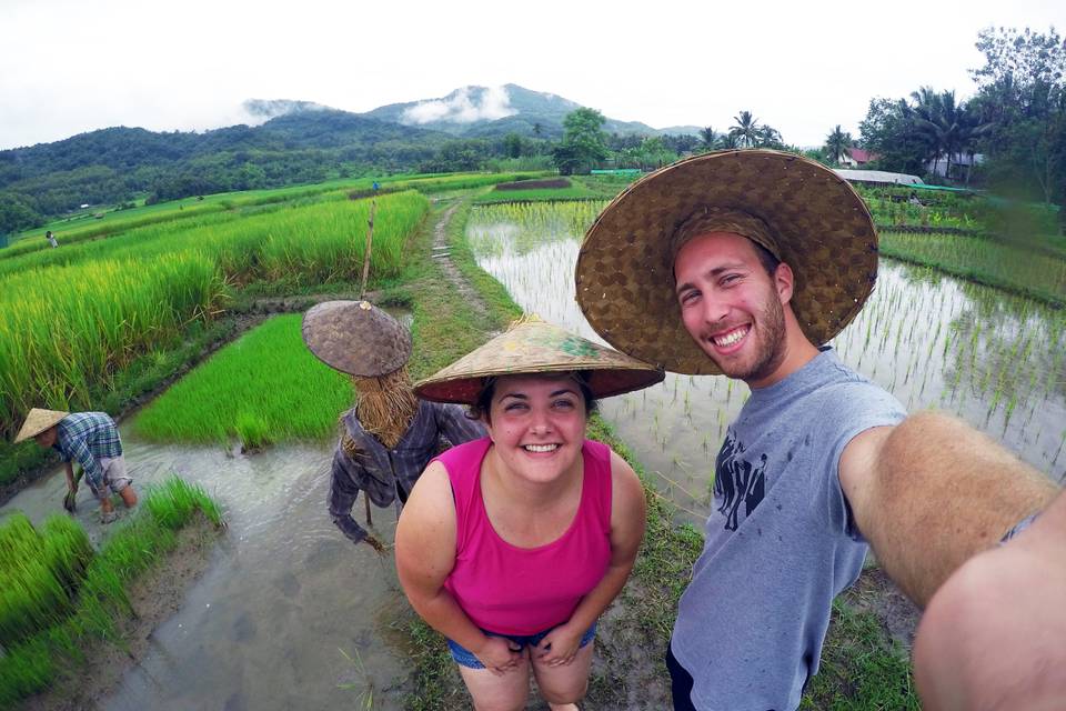 Il verde delle risaie del Laos