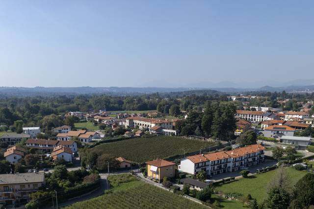 Il Nostro Secondo Vigneto