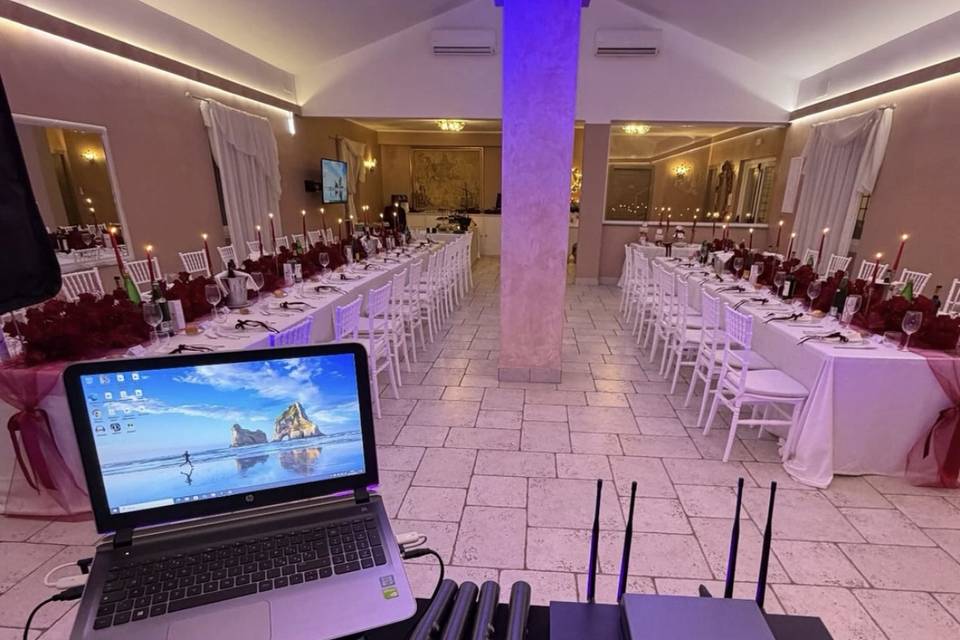 Sala Pink