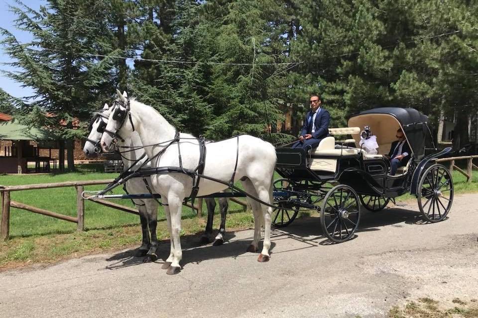 Carrozza blu