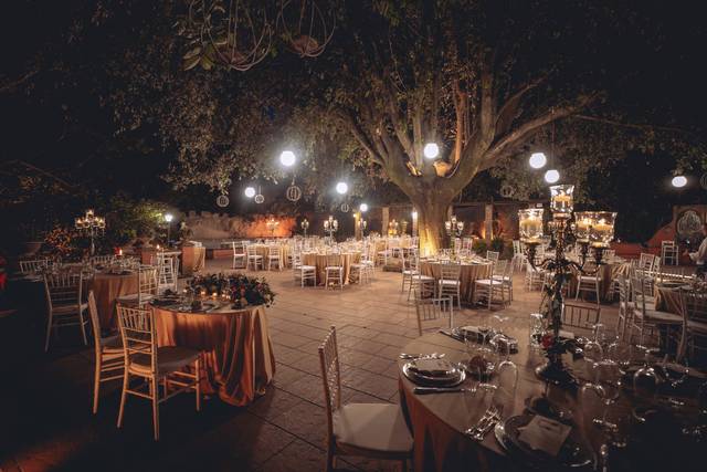 Allestimento placé al leccio