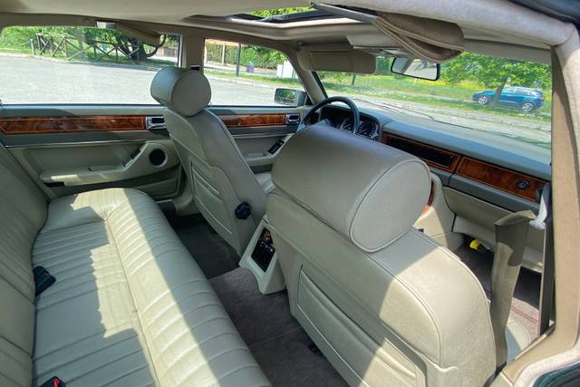 Jaguar interno