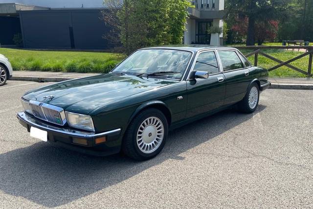 Jaguar esterno
