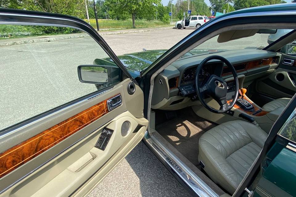 Jaguar interno