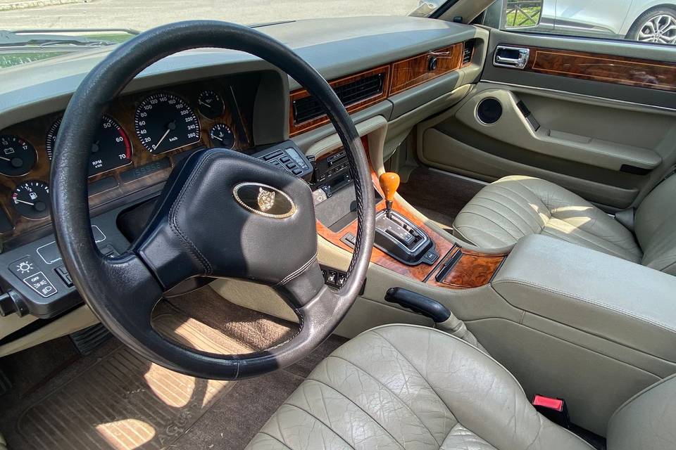 Jaguar interno