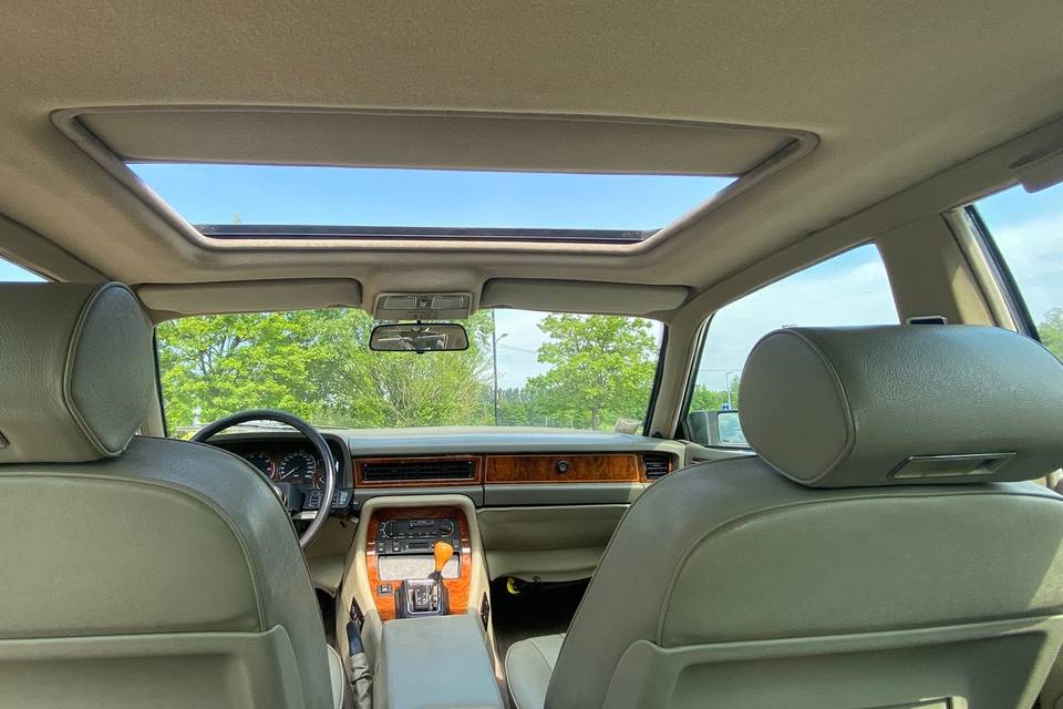 Jaguar interno
