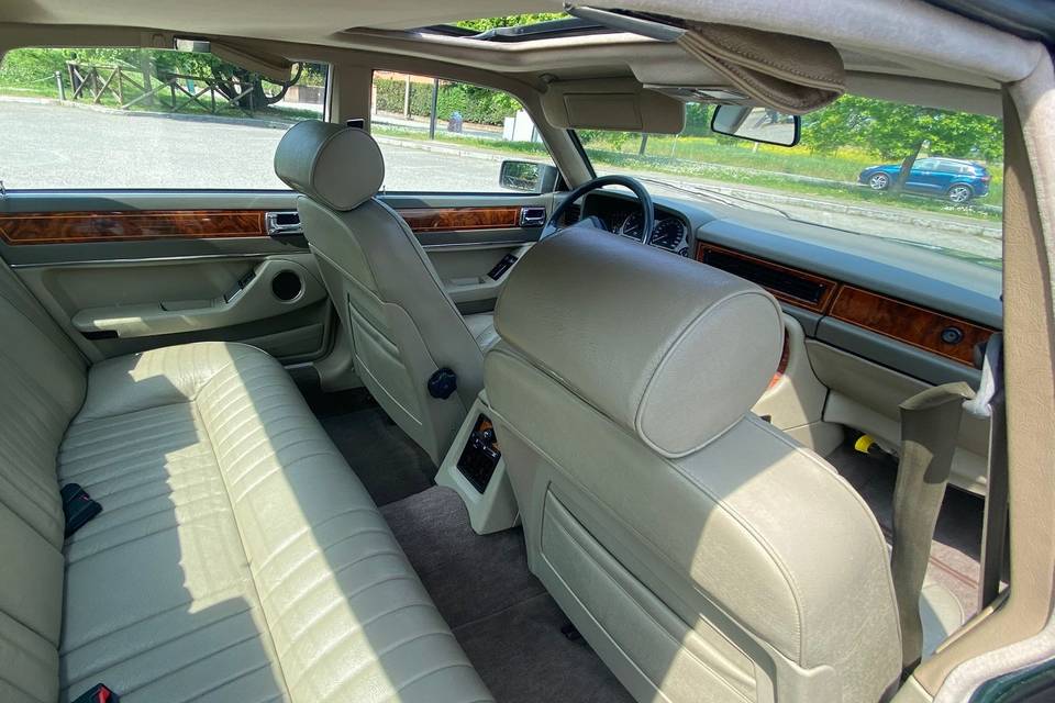 Jaguar interno