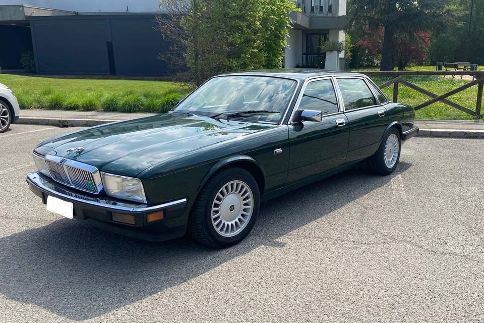 Jaguar esterno