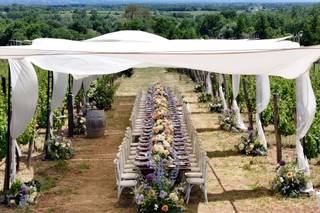Michela Manente Wedding & Event Planner