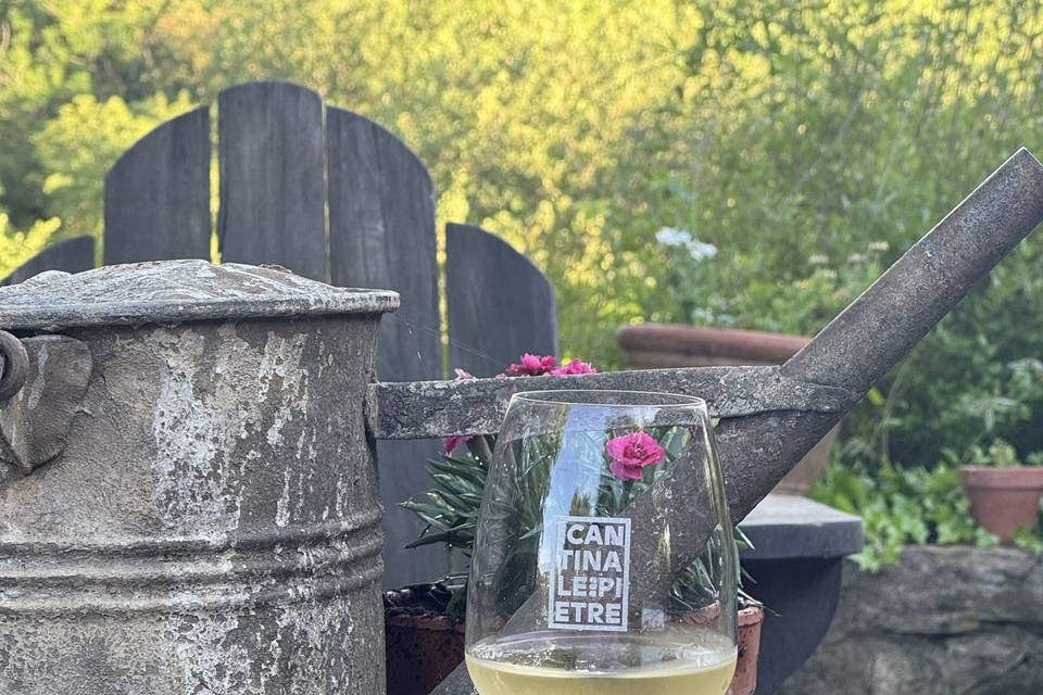 Calice della nostra cantina