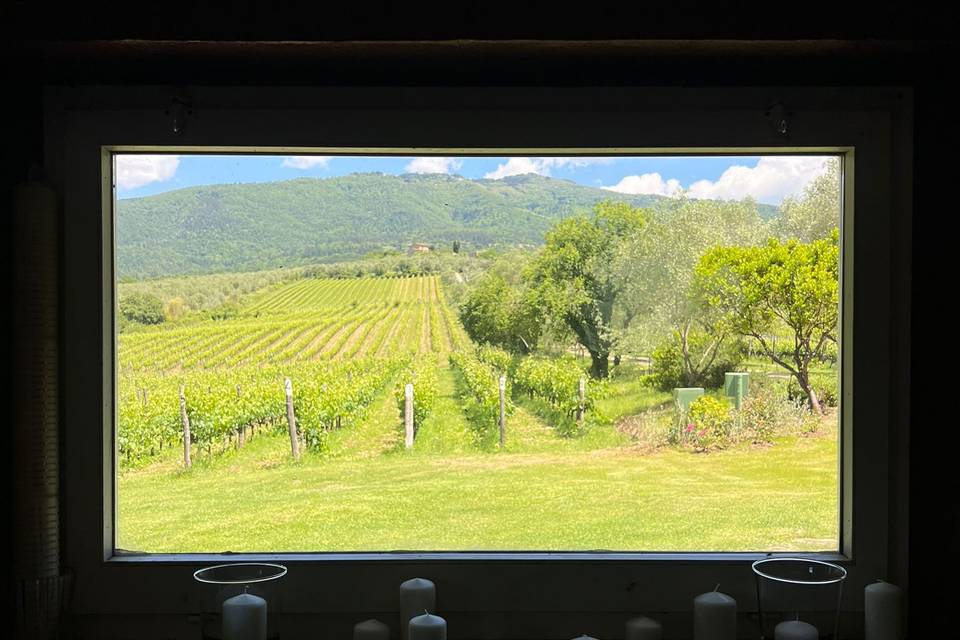 Vista sulle vigne