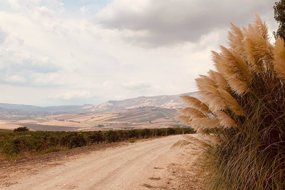 La strada