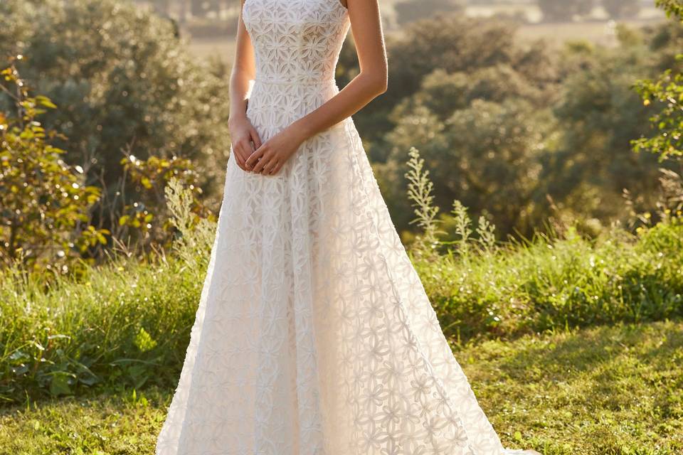 Alma Novia 2026