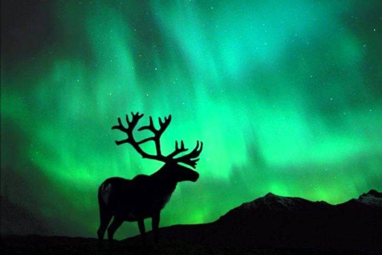 Magica aurora boreale
